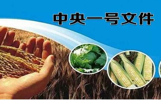 一号文件