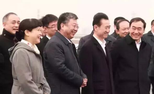 万达集团董事长王健林考察津南投资环境