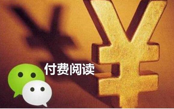 付费阅读
