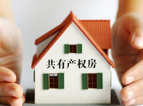 共有产权养老