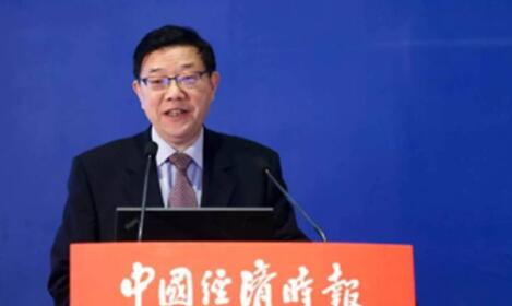 国务院发展研究中心主任李伟发言
