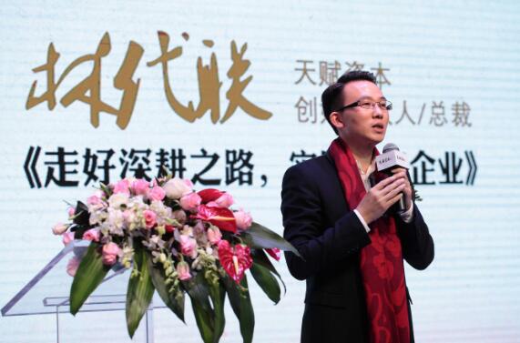 天赋资本林代联