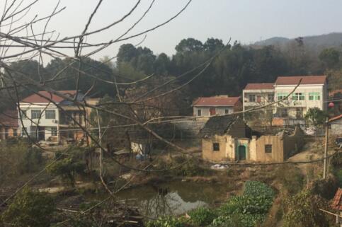 宅基地
