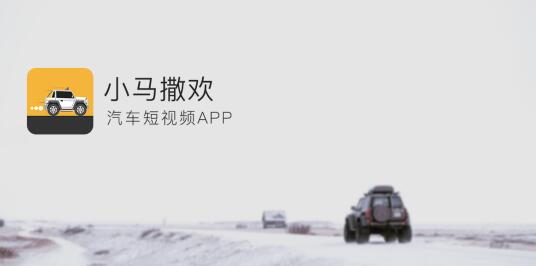 小马撒欢