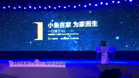 小鱼在家