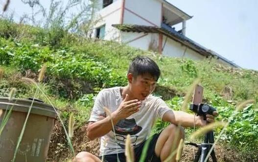 张一鸣下乡