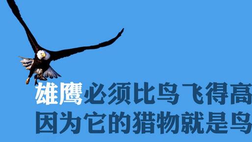 投资者
