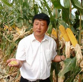 李登海