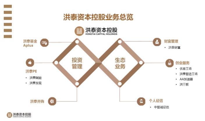 洪泰资本