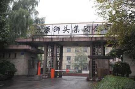 狮头集团