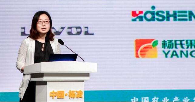 王海栗