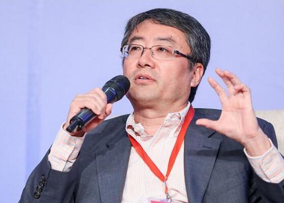 真格基金王强