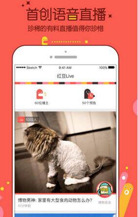 红豆 Live