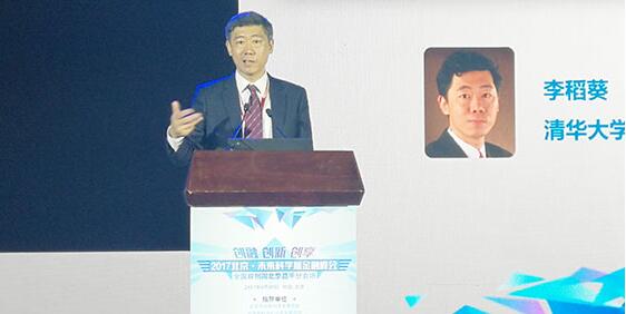 经济学家李稻葵