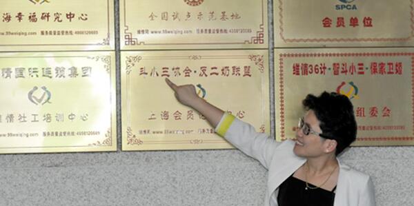 维情