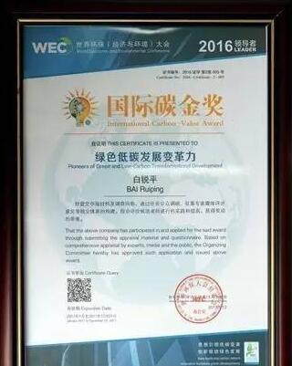 绿色低碳发展变革力