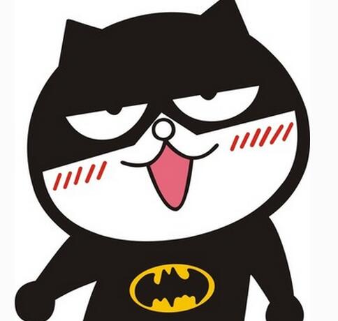蒙面的猫