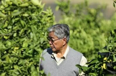 褚时健