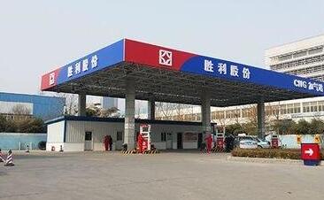 重庆胜邦