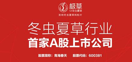 青海春天成功上市