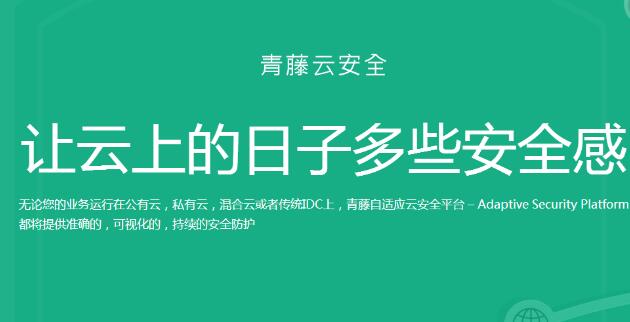 青藤云安全
