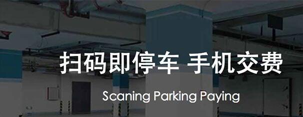 鲑鱼科技