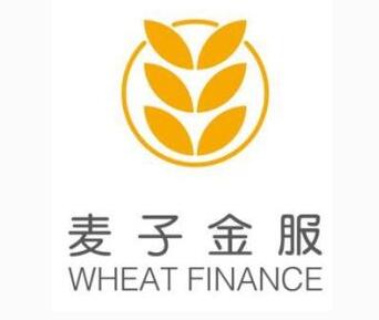 麦子金服曲线赴美上市