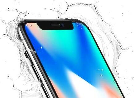 iPhone X