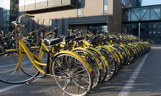 ofo