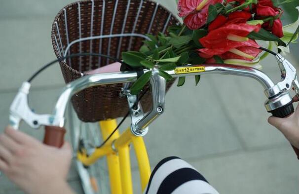 ofo