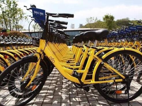 ofo