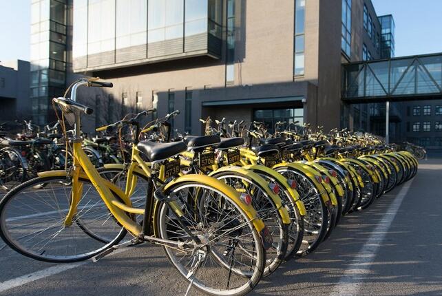 ofo