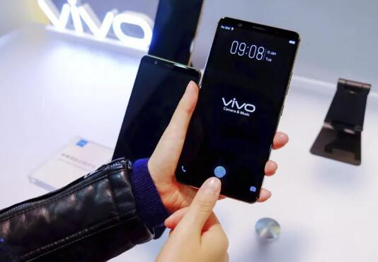 vivo