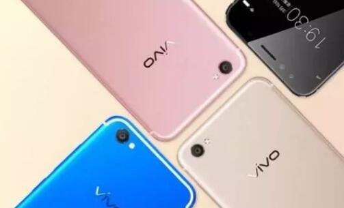 vivo