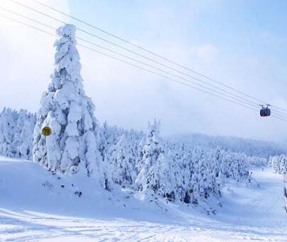 河北旅投集团金山岭国际滑雪旅游度假区项目